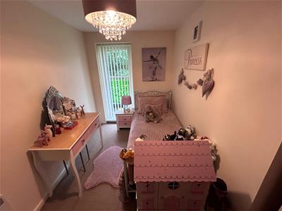 Picture 9
